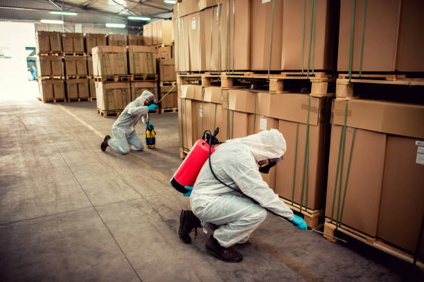 Best Termite Control Services  in Millersport, OH