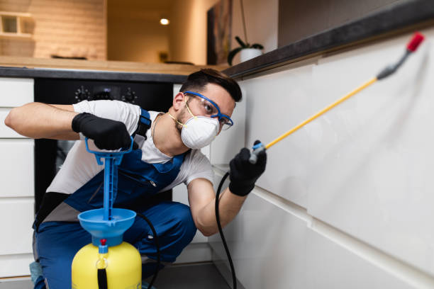 Best Pest Prevention Services  in Millersport, OH