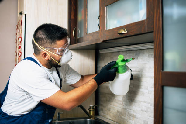 Best Affordable Pest Control Services  in Millersport, OH