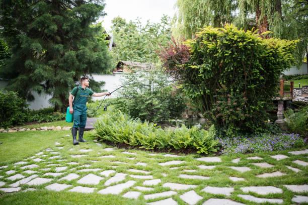 Best Bird Control  in Millersport, OH