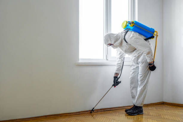 Best Pest Removal Services  in Millersport, OH