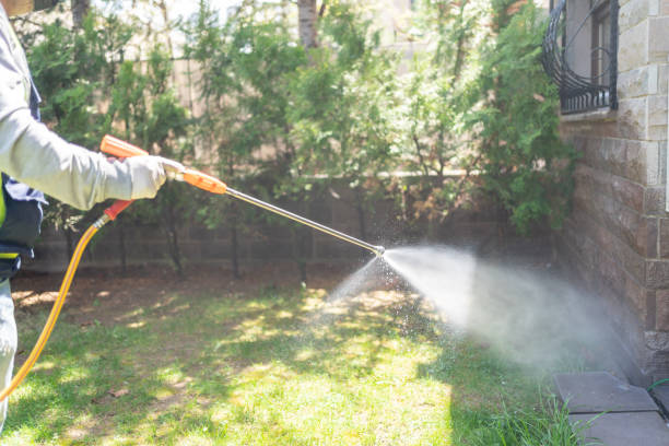 Best Rat Extermination Near Me  in Millersport, OH