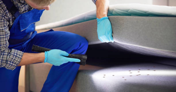 Best Wasp Removal Services  in Millersport, OH