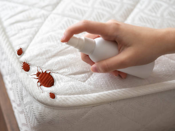 Best Flea Control Services  in Millersport, OH