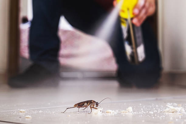 Best Emergency Pest Control  in Millersport, OH