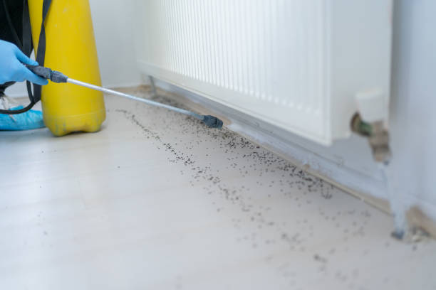 Best Cockroach Control Services  in Millersport, OH