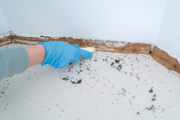 Pest Control for Restaurants in Millersport, OH