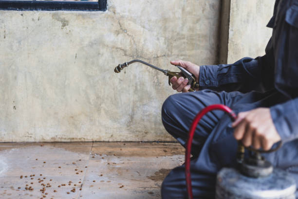 Best Best Pest Control Companies  in Millersport, OH